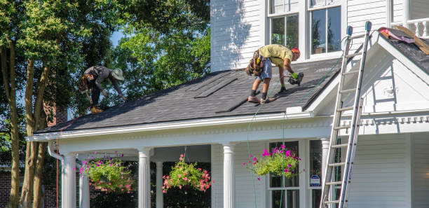 Best Roof Gutter Cleaning  in Brewer, ME